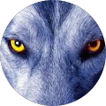 Arjuna profile picture
